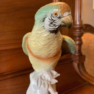 Perroquet en porcelaine de Saxe Karl Ens